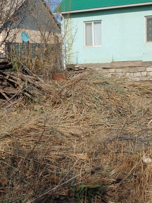 Бесплатно самовывоз өздеріңіз алп кетесіз