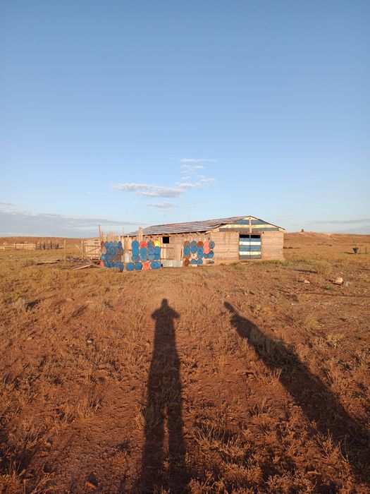 Сельское хозяйство