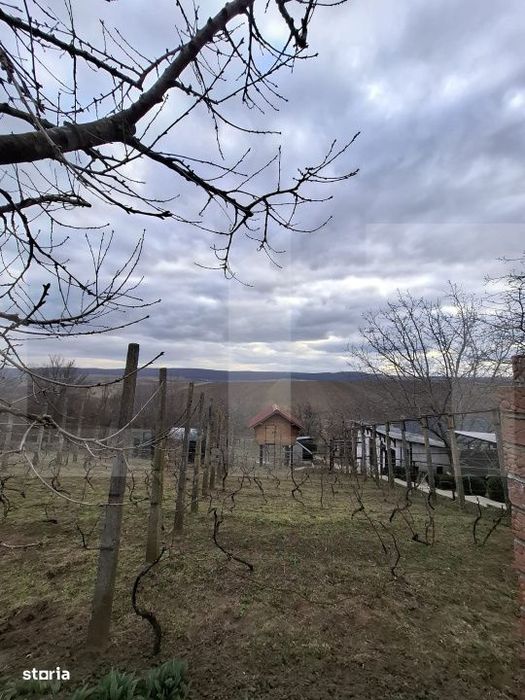 Teren extravilan, 17.300 mp, Stancesti