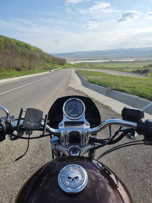 Harley Davidson Sportster XL1200L Willie G custom