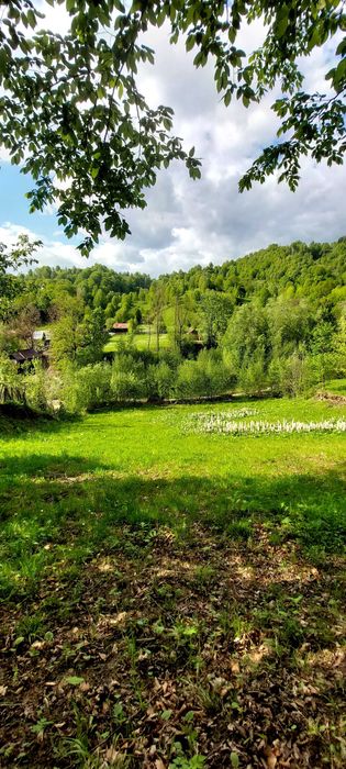 Zonă de munte. Teren de vanzare+căsuță +pădure