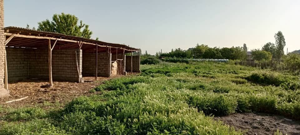 Uy sotiladi 2 xonali viremerka molxona