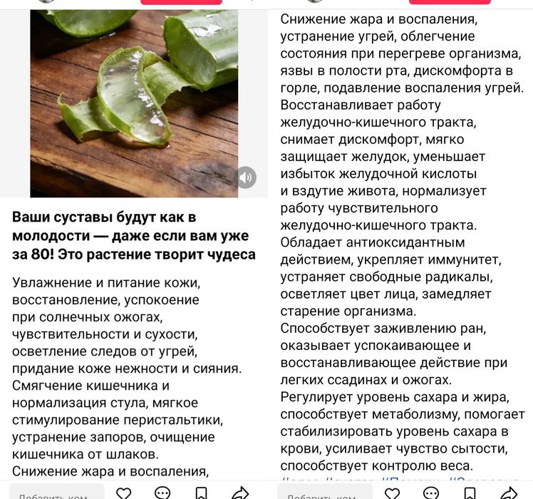 Алоэ Вера замороженный