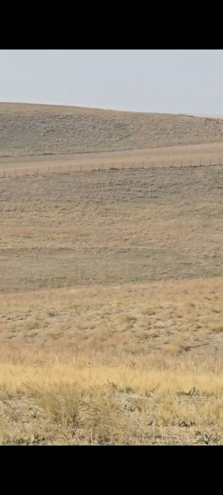 Продажа  участка