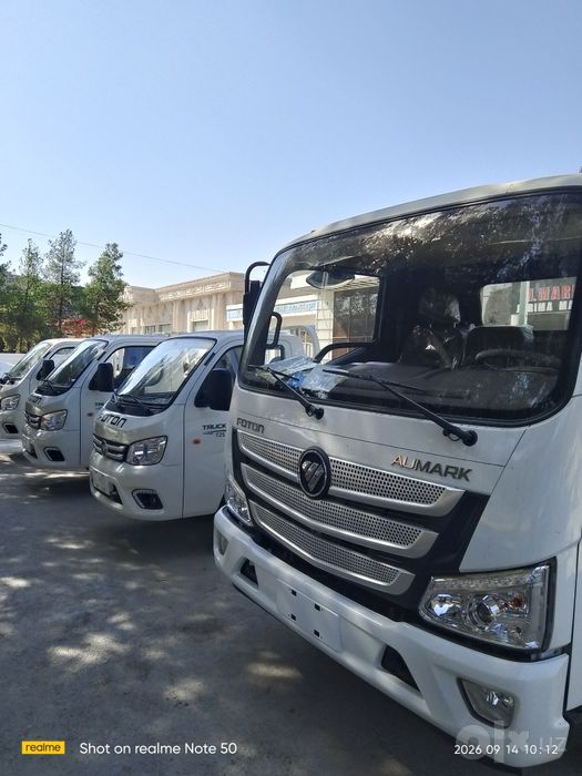 Foton Truck Mate I D1