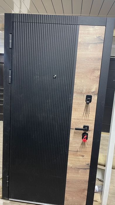 Двери входные с зеркалом