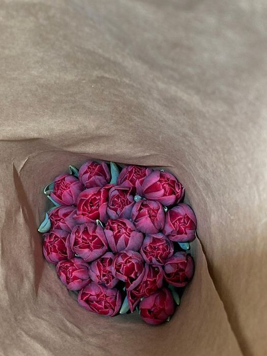 Продам тюльпаны оптом