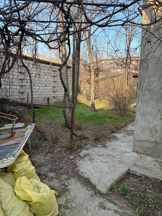 Яшнабадском районе