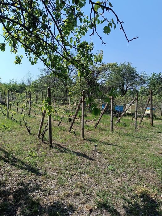 Продава се Къща в Русе, Долапите - 1100 кв.м за 26 €/кв.м - Снимка #17