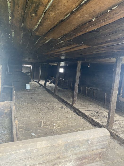 Дом в с Перцевка