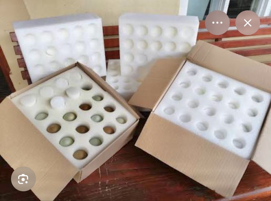 Burete pentru transport oua