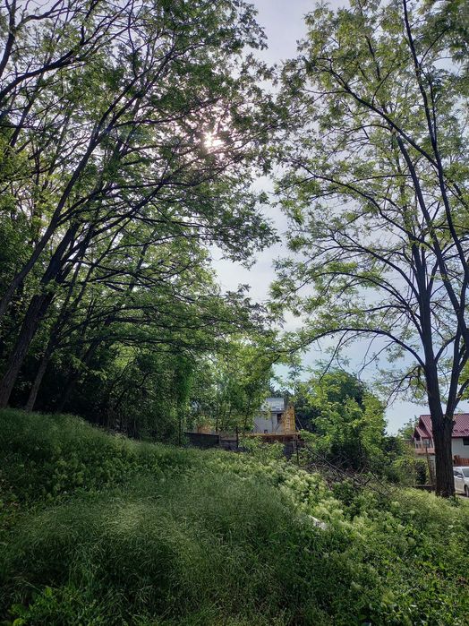 Teren cu PUZ aprobat, Iasi Copou, strada Bucur, zona Bellevue