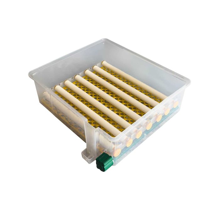 Incubator automat ECO PROFI C-36 Livrare rapidă NOU