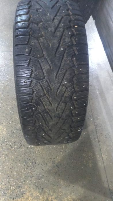 Звандап сурандаршиш