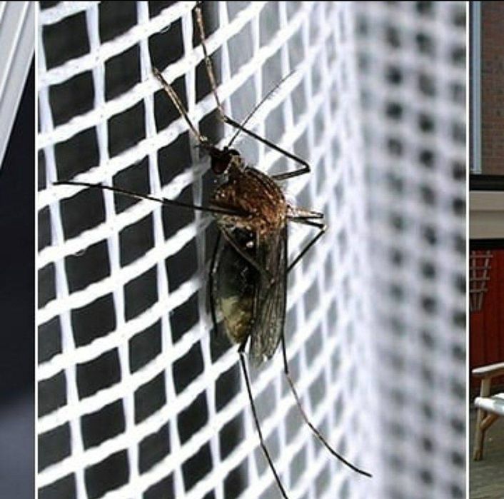 Москитни сетка ясаймиз