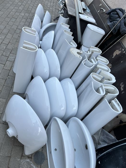 Раковины тюльпаны