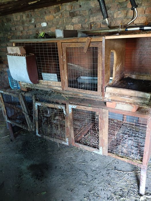 Клетки для кроликов