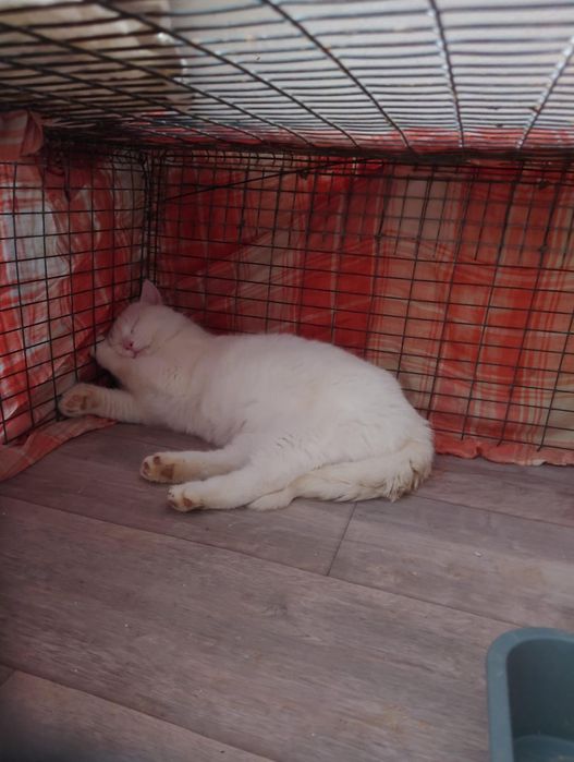 В самые добрые ручки