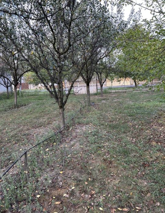 Vand livada sau loc de casa