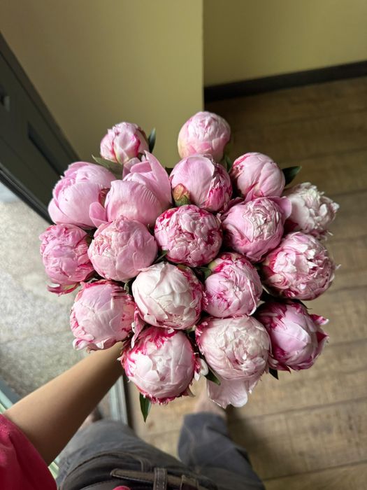 Пионы Пионы Пионы