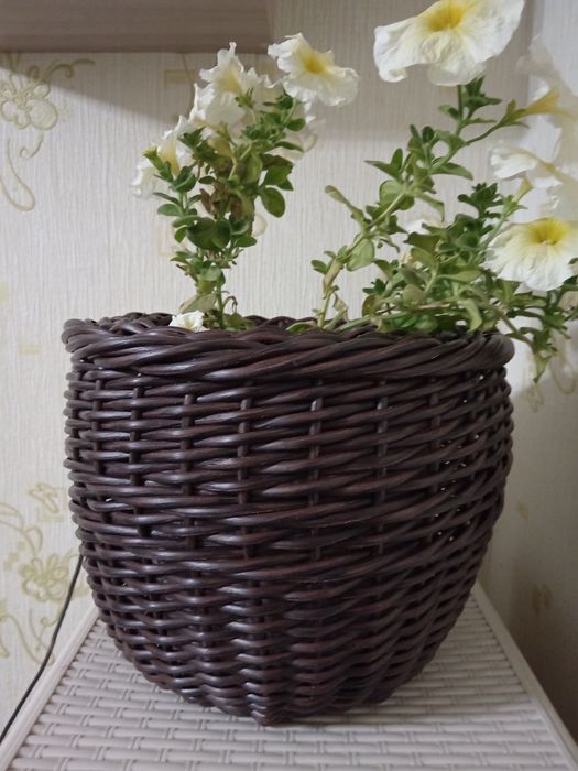 Кашпо для цветов