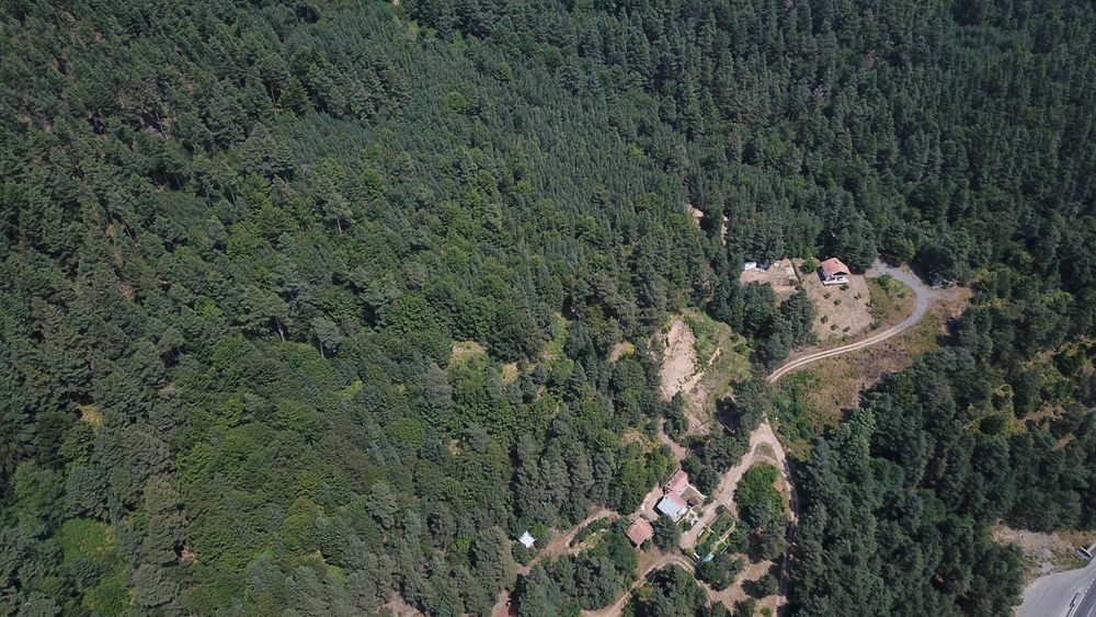 Продава се Парцел в Разлог - 3011 кв.м за 19 €/кв.м - Снимка #4