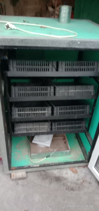 Инкубатор. Инкубатор.