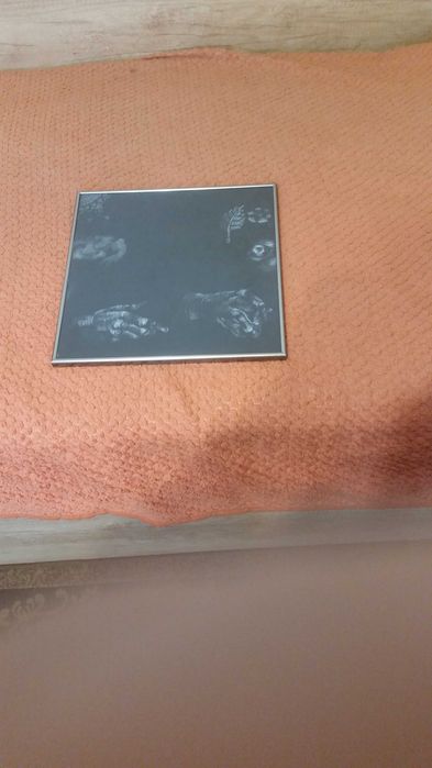 Голяма черно бяла графика в хубава рамка със стъкло отпред.