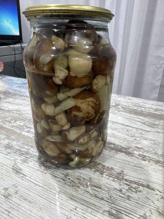 Продам грибы, валуи