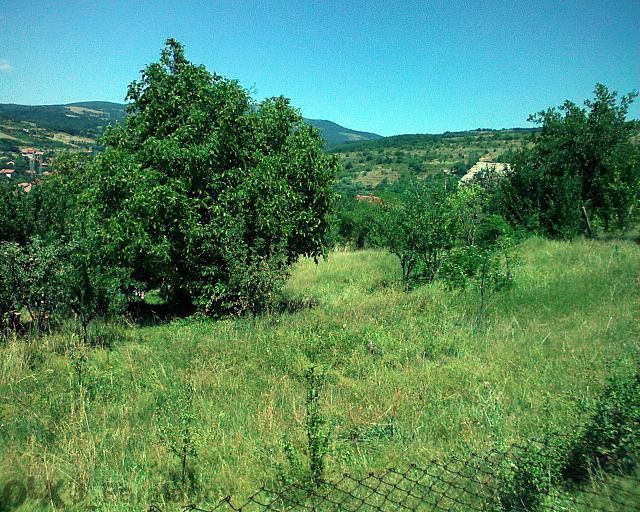 Продава се Парцел в с. Тополница, Област Кюстендил - 800 кв.м за 32 €/кв.м - Снимка #2