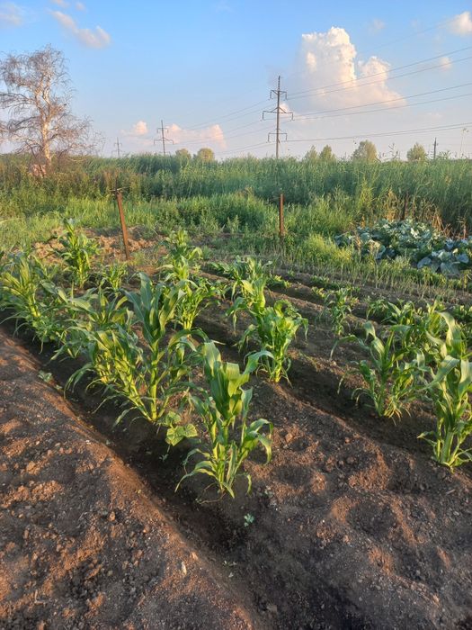 Продам дачу в районе саздинского водохранилища