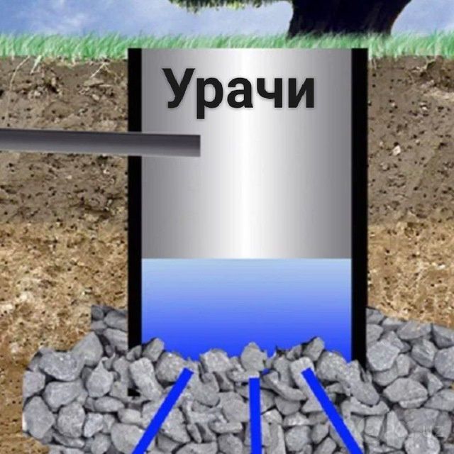 Òrachi toshkent bòylab