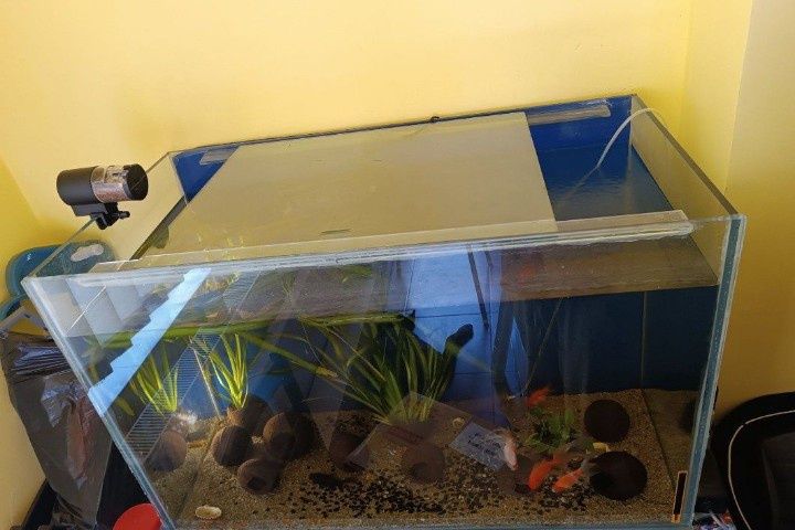 Acvariu pești 285 L