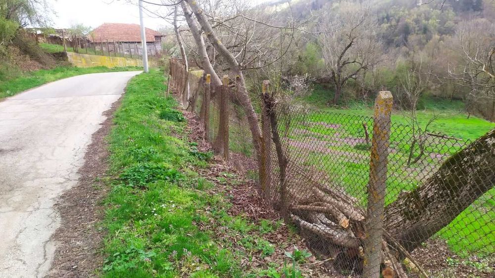 Продава се Парцел в с. Войнежа, Област Велико Търново - 2167 кв.м за 7 €/кв.м - Снимка #11
