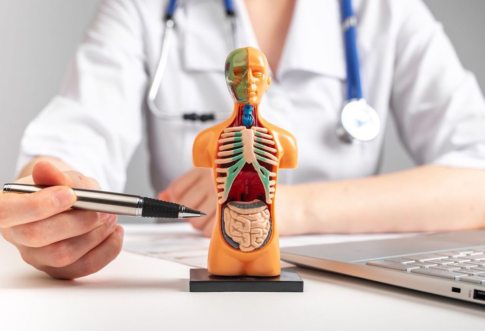 Meditații pentru Admiterea la Medicină și Medicină Dentară – Anatomie și Fiziologie