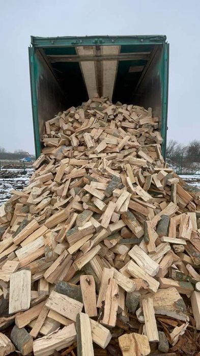 Vand lemne de foc Fag-Spart