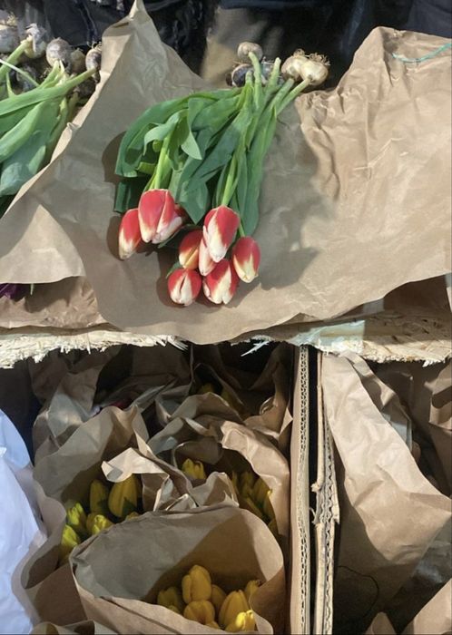 Крупный тюльпан.