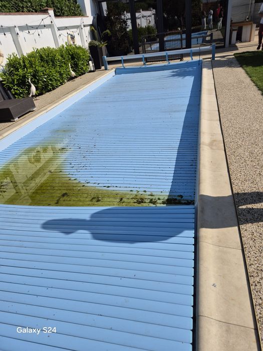 Intretinere piscine  (Piscinar )