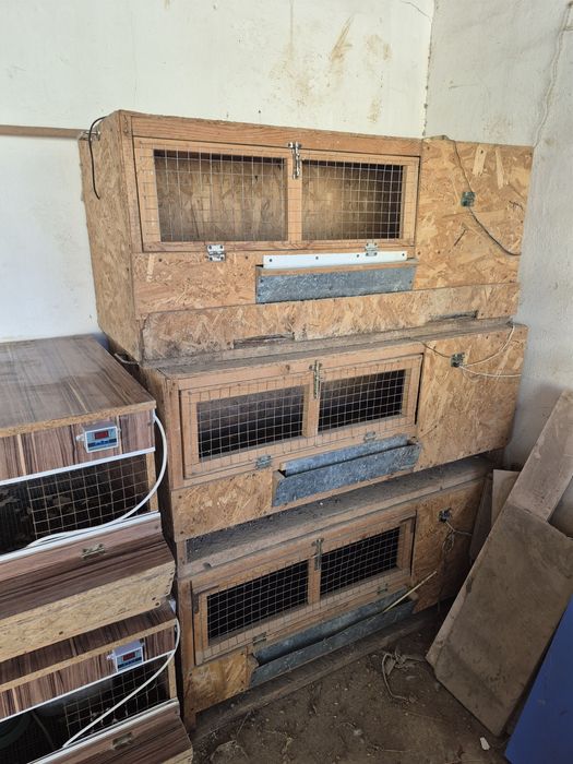 Бруддер балапандарға