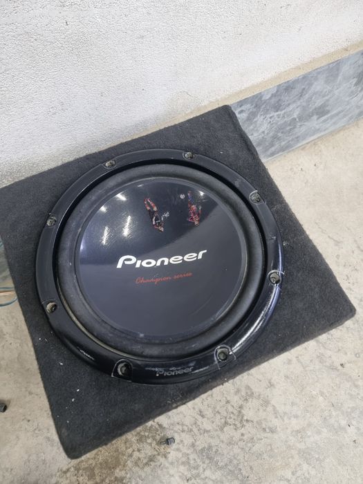 Pioner sambufer sotiladi