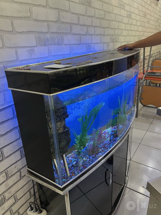 Akvarium sotiladi