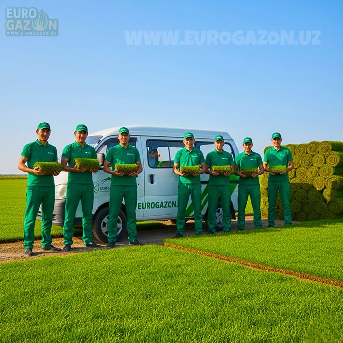 Rulon Gazon o’rnatamiz | укладка рулонного газона