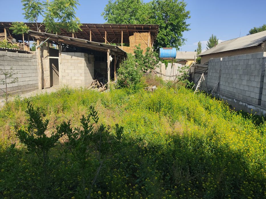 3 Sotik Er Sotiladi Zudlik Bilan Kadastri Bor