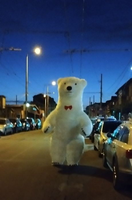 Ново !!!Костюм на Бяло мече + батерия и зарядно