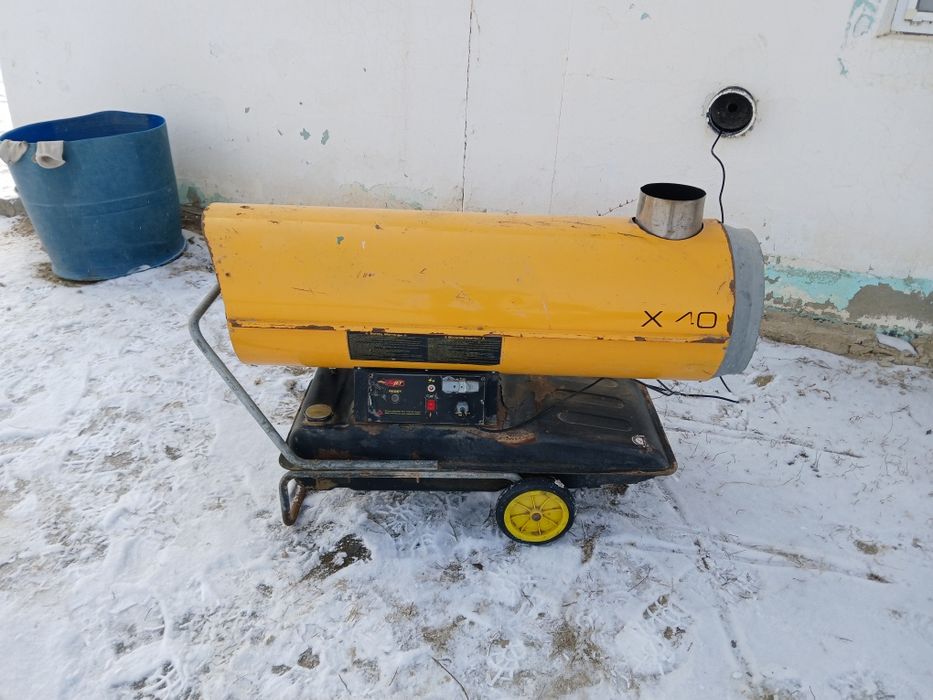 Жейсет коллалифер  бу