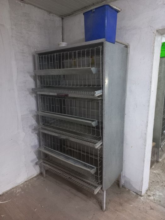 Клетка для содержания курочек