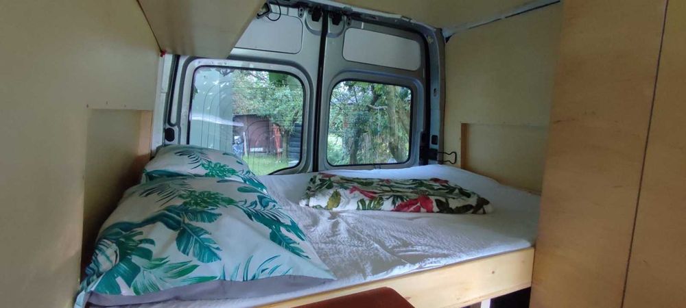 vand autorulota opel movano