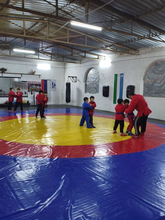 Набор в группу по Боевому Самбо (  техники Бокс , Кикбокс , Борьба )