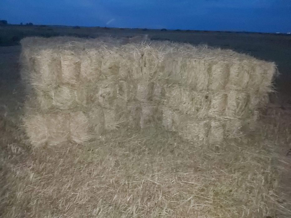 Продам сено в тюках