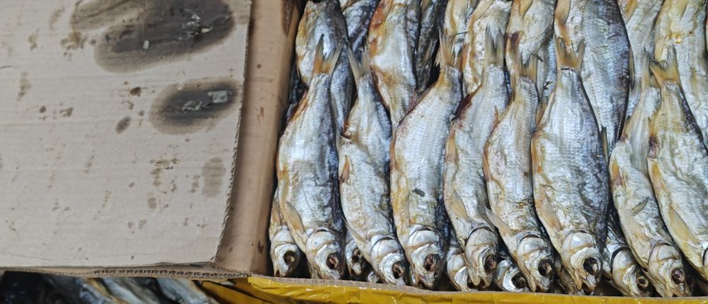 Вяленая рыба (атырау)